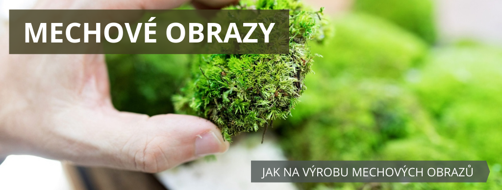Gardners.cz - Mechové obrazypng